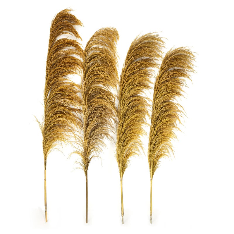 penepico Gold Pampas Grass Decor Tall,Dried Pampas Grass for Vase, Natural Pompas Floral, Elegant Feather Flowers for Wedding Living Room Farmhouse Decorations (Natural Golden, 4pcs 43.3"(110cm)) - Image 1