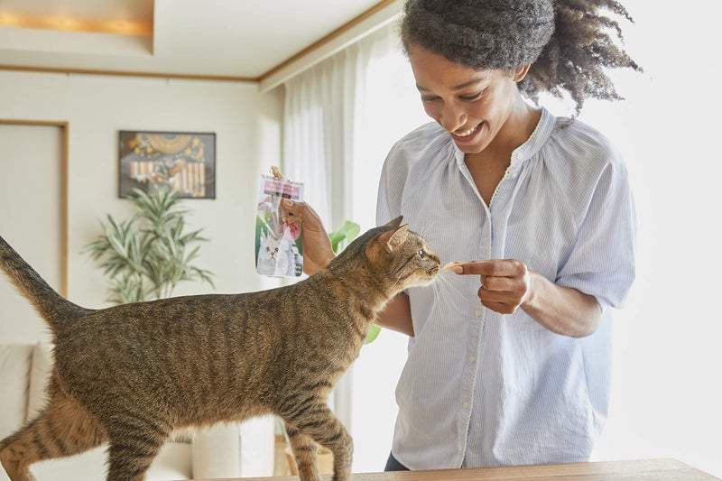 إينابا سمك التونة إينابا الطري للغاية في مرق التونة 15 جرام - عبوة من 6 قطع - Image 3