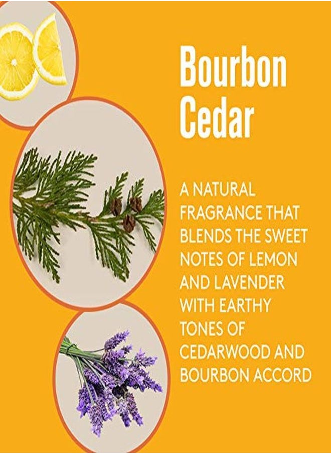 Barrel And Oak Charcoal Face Scrub With Volcanic Pumice, Men'S Exfoliating Scrub, Facial Cleanser, Removes Dead Skin, Absorbs Oil, Cleans Pores, Promotes Beard Growth, Vegan (Bourbon Cedar, 5 Oz) - pzsku/Z01E121E462E5918D17CDZ/45/_/1647802106/79cdc1d0-6be0-449e-b2b0-5ff7e7552b02