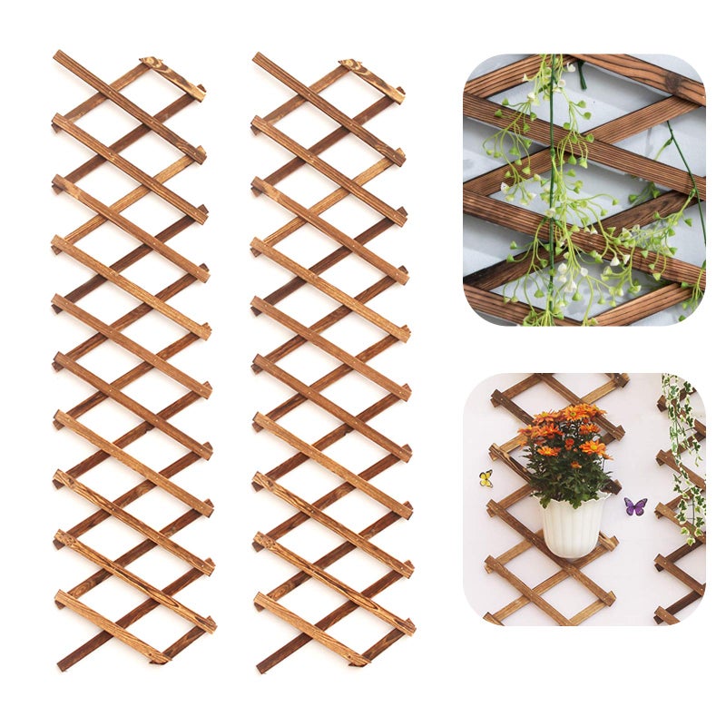 Iceyyyy Wood Lattice Wall Planter 2Pack Expandable Hanging Wooden Planter Trellis Frame Indoor Air Plant Vertical Rack Wall Decor for Room Garden