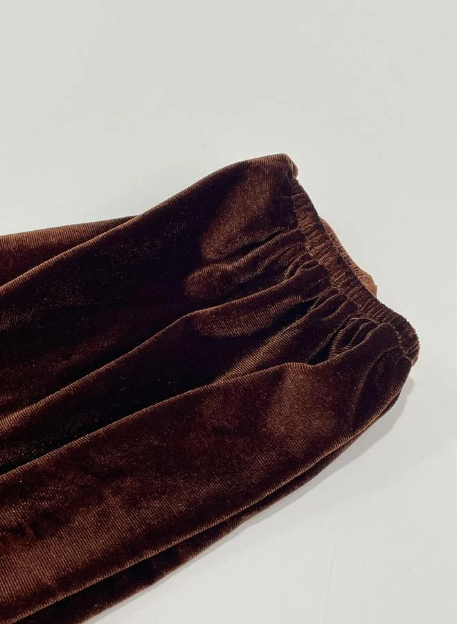Take Two Women Brown Velvet A-Line Mini Dress