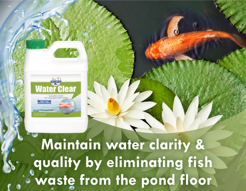 Koi Worx KoiWorx Water Clear - Clarifies Decorative and Ornamental Ponds, Safe for Koi - 1 Quart - Image 2
