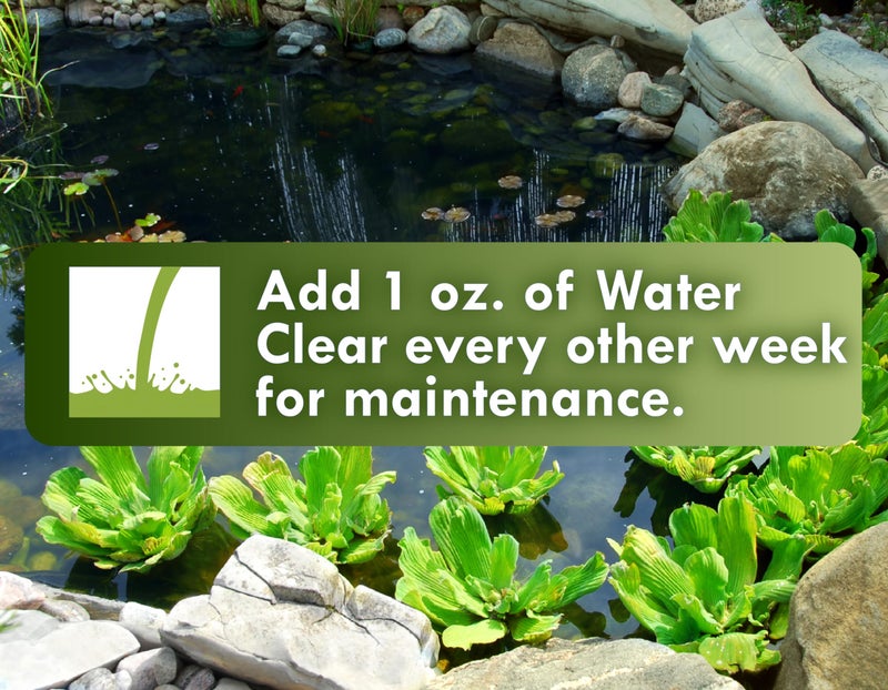 Koi Worx KoiWorx Water Clear - Clarifies Decorative and Ornamental Ponds, Safe for Koi - 1 Quart - Image 3