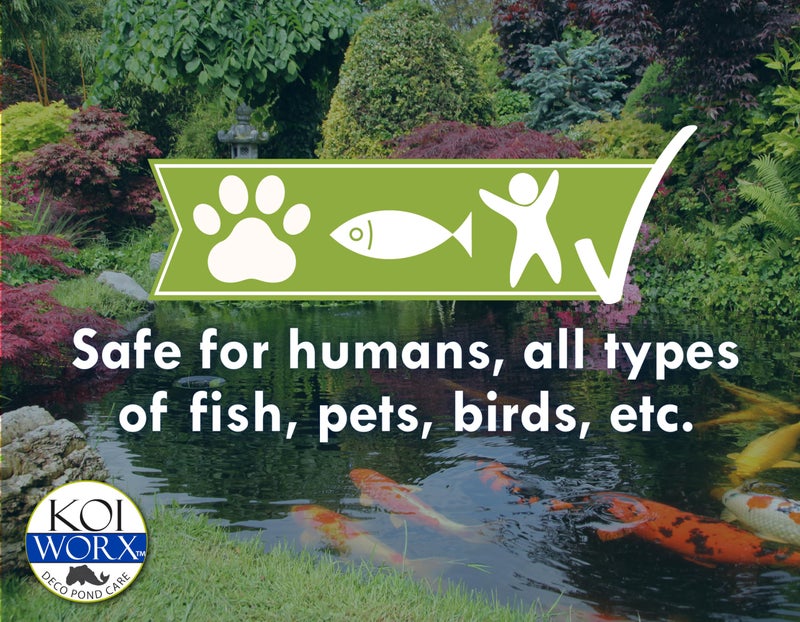 Koi Worx KoiWorx Water Clear - Clarifies Decorative and Ornamental Ponds, Safe for Koi - 1 Quart - Image 5