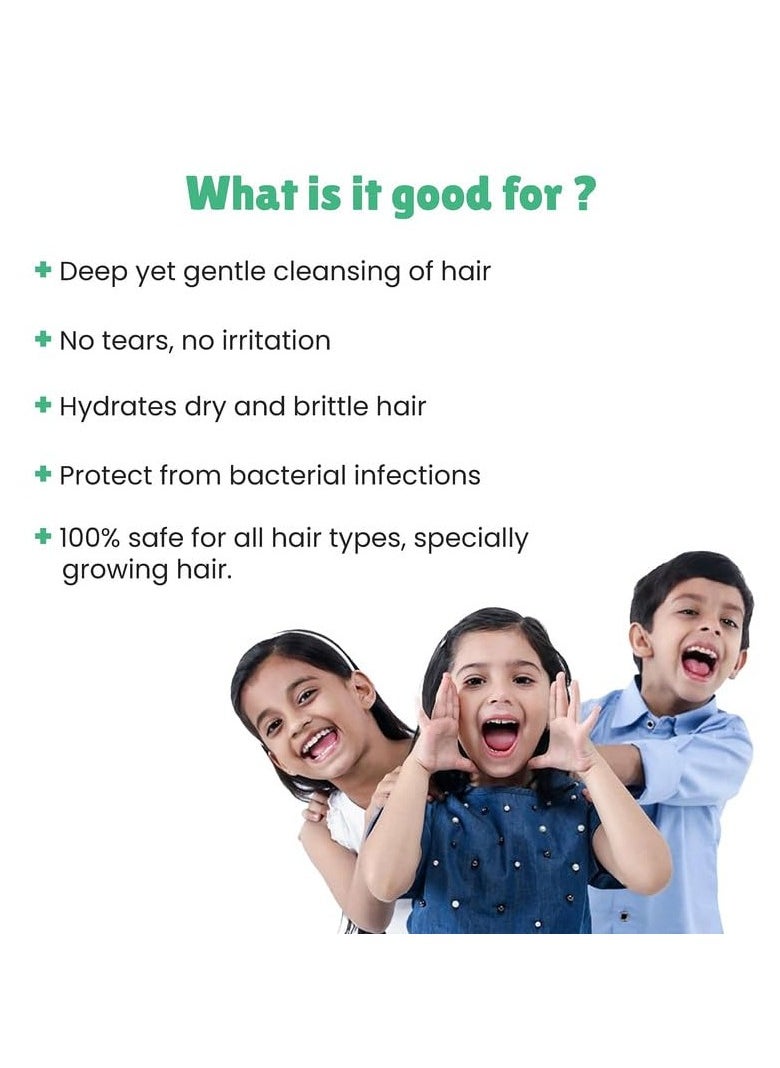 Little Joys Amla Shampoo for Kids (2+Yrs) With Amla Shikakai Brahmi and Neem Deep Cleanses and Nourishes Scalp and Hair Protects from Dandruff and Lice  250ml