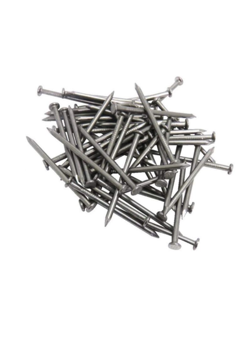 High Strength Round Head Nails For Carpentry Hardware Electrical Etc (25, 6 inch)  - Image 3