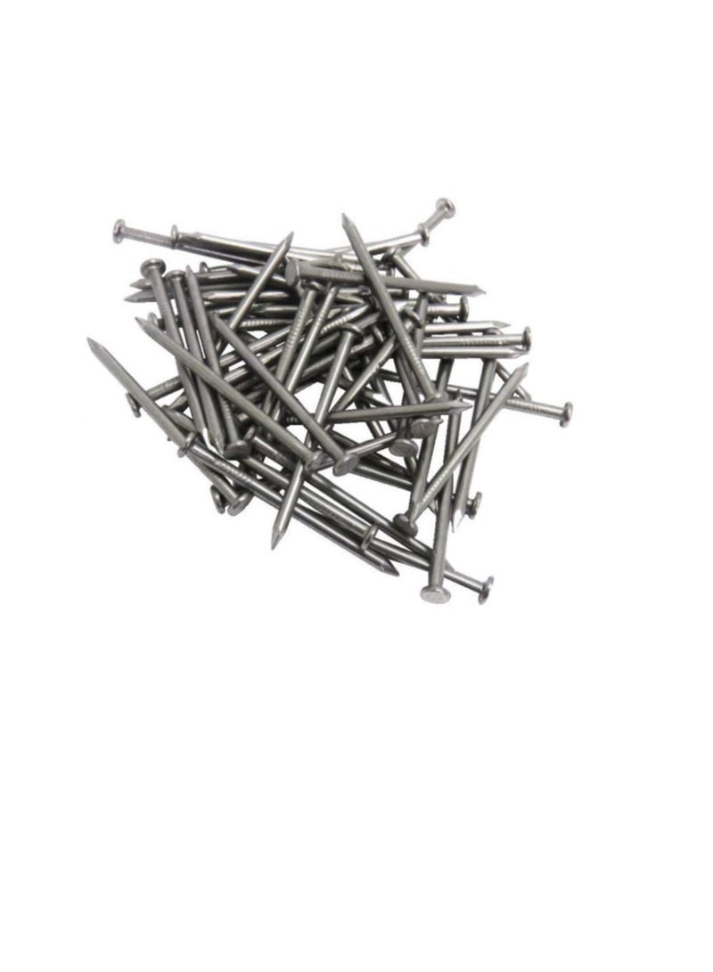 High Strength Round Head Nails For Carpentry Hardware Electrical Etc (25, 6 inch)  - Image 2