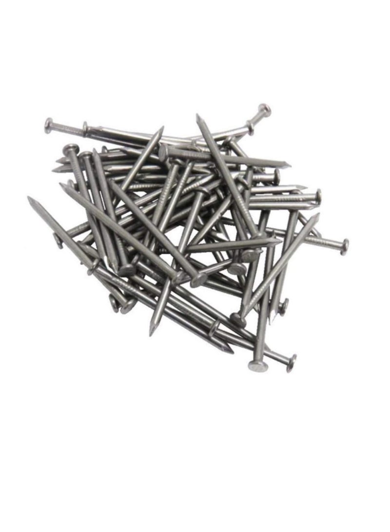 High Strength Round Head Nails For Carpentry Hardware Electrical Etc (25, 6 inch)  - Image 1