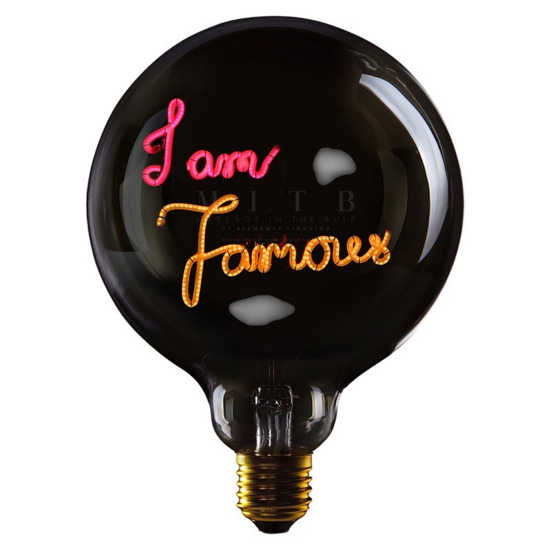 I AM FAMOUS - LED GLASS BULB - Ø70 × H110 MM