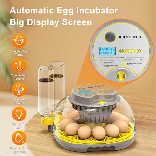 IBKINXX Incubator for Hatching Eggs-12 Egg Capacity, 2026 Newly Upgraded Automatic Egg Turner, Temperature & Humidity Control, 360° Viewing for Chicken, Duck and Quail Eggs (Grey) - Image 3