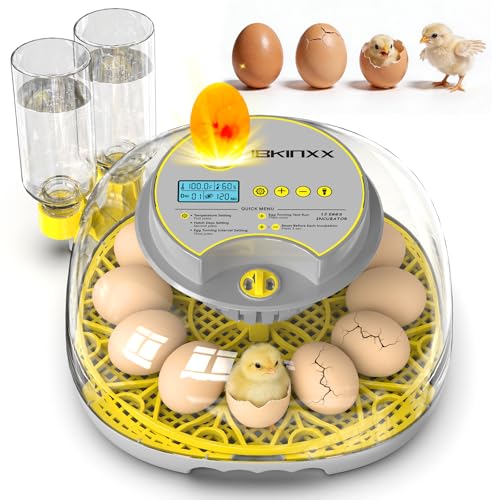 IBKINXX Incubator for Hatching Eggs-12 Egg Capacity, 2026 Newly Upgraded Automatic Egg Turner, Temperature & Humidity Control, 360° Viewing for Chicken, Duck and Quail Eggs (Grey) - Image 1