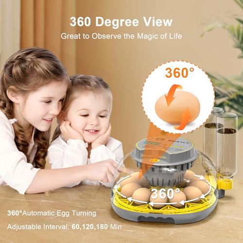 IBKINXX Incubator for Hatching Eggs-12 Egg Capacity, 2026 Newly Upgraded Automatic Egg Turner, Temperature & Humidity Control, 360° Viewing for Chicken, Duck and Quail Eggs (Grey) - Image 4