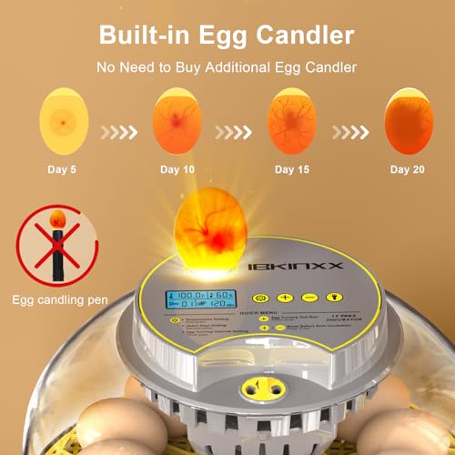 IBKINXX Incubator for Hatching Eggs-12 Egg Capacity, 2026 Newly Upgraded Automatic Egg Turner, Temperature & Humidity Control, 360° Viewing for Chicken, Duck and Quail Eggs (Grey) - Image 2