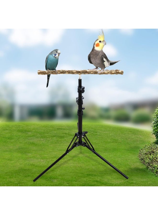 16–63 Inch Height Adjustable Bird Perch Stand, Natural Pepper Wood Parrot Perch Toy, Foldable Metal Tripod Bird Training Stand for Small to Medium Birds Indoor Outdoor Use - Image 3