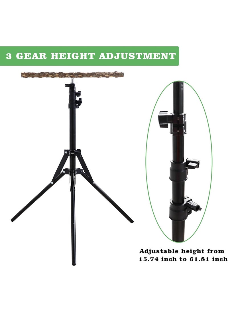 16–63 Inch Height Adjustable Bird Perch Stand, Natural Pepper Wood Parrot Perch Toy, Foldable Metal Tripod Bird Training Stand for Small to Medium Birds Indoor Outdoor Use - Image 4