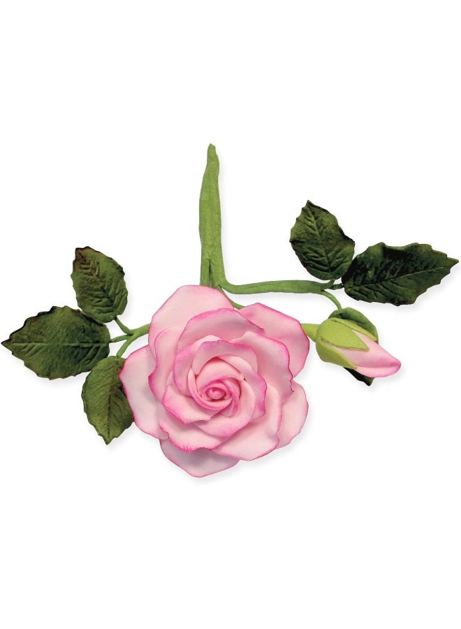 Pme 5 Petals Cutter 4-Pieces - Image 4