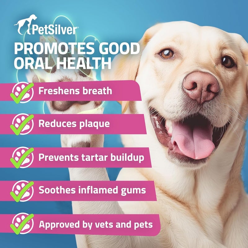PetSilver Teeth & Gum Water Additive Dental Care for Pets with Patented Chelated Silver, Natural Dog Breath Freshener, Targets Tartar & Plaque, No Brushing, Cat and Dog Teeth Cleaning, 12 fl oz - Image 2