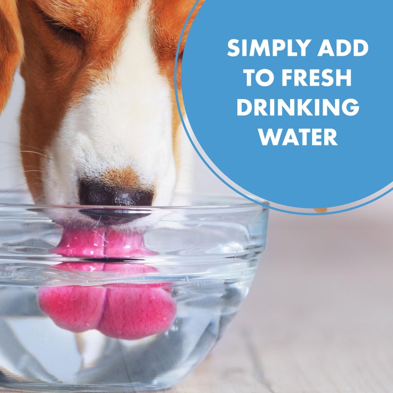 PetSilver Teeth & Gum Water Additive Dental Care for Pets with Patented Chelated Silver, Natural Dog Breath Freshener, Targets Tartar & Plaque, No Brushing, Cat and Dog Teeth Cleaning, 12 fl oz - Image 4