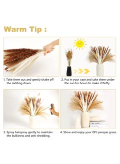 SPARK IT HOME Natural Dried Fluffy Pampas Grass, White & Gold 110 Pieces Bouquet  - Image 4