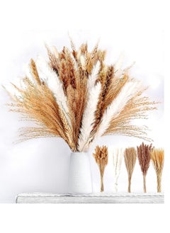 SPARK IT HOME Natural Dried Fluffy Pampas Grass, White & Gold 110 Pieces Bouquet  - Image 5