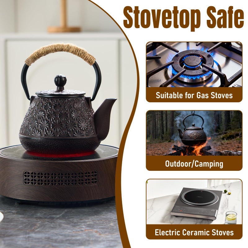 PARACITY Cast Iron Teapot Japanese 800ml/27oz, Tea Kettle Pot for Stove Top, Tea Pot with Stainless Steel Infusers for Loose Tea, Boiling Hot Water Tea, Mothers Day Gifts from Daughter/Son - Image 3