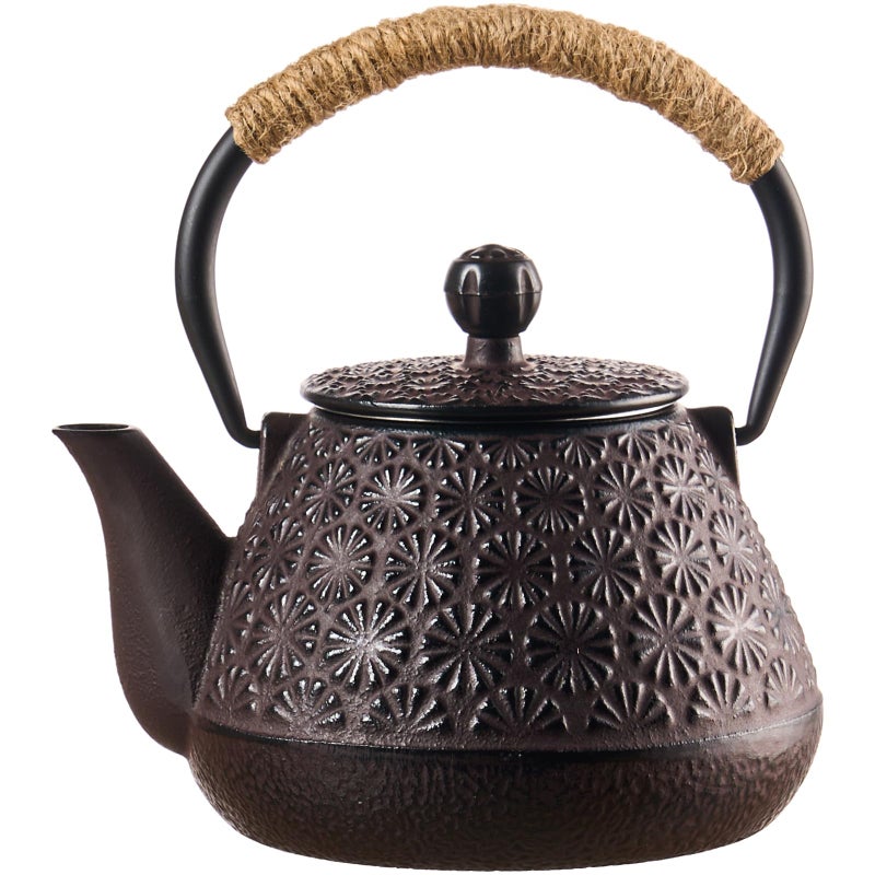 PARACITY Cast Iron Teapot Japanese 800ml/27oz, Tea Kettle Pot for Stove Top, Tea Pot with Stainless Steel Infusers for Loose Tea, Boiling Hot Water Tea, Mothers Day Gifts from Daughter/Son - Image 1