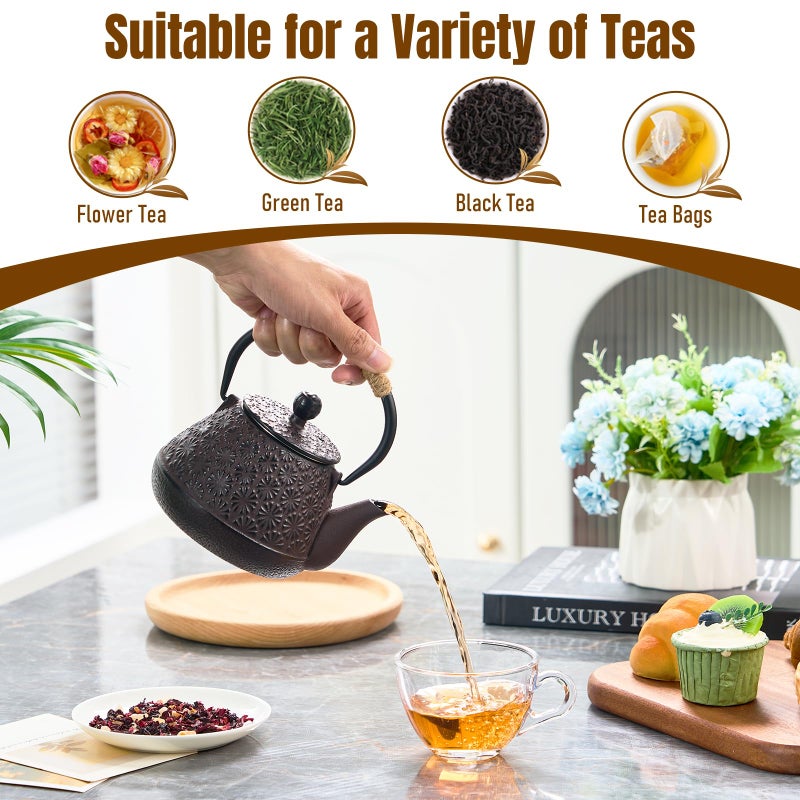 PARACITY Cast Iron Teapot Japanese 800ml/27oz, Tea Kettle Pot for Stove Top, Tea Pot with Stainless Steel Infusers for Loose Tea, Boiling Hot Water Tea, Mothers Day Gifts from Daughter/Son - Image 5