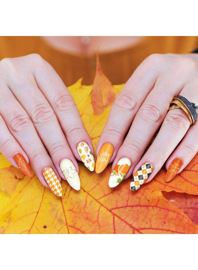 Whaline 6Pcs Fall Thanksgiving Theme Nail Art Stamping Plate Kit Various Pattern Pumpkin Maple Autumn Blessing Collection Nail Art Plate For Thanksgiving Day Nail Art Design Diy Print Manicure Salon - Image 5