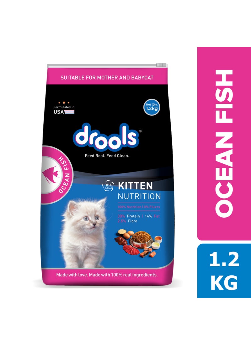 Drools طعام جاف للقطط الصغيرة بنكهة سمك المحيط - Image 3