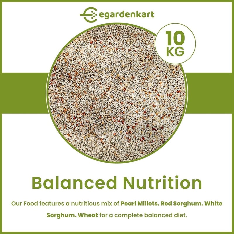 Egardenkart طعام الطيور اليومي من Egardenkart® - 10 كجم، بذور الطيور | طعام الطيور البرية لجميع أنواع الطيور البرية | طعام الطيور للطيور الصغيرة مثل الحمام، الدراج، المينا، القبرة، البلبل، والعصفور، مزيج بذور (10) - Image 3