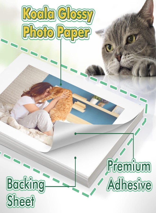 KOALA PAPER Koala Glossy Sticker Paper for Inkjet & Laser Printer, Printable Photo Sticker Paper, 20 Sheets 8.5x11 In Self-Adhesive Photo Paper for Scrapbooking, Brand Logo, Party Decor Stickers - Image 2