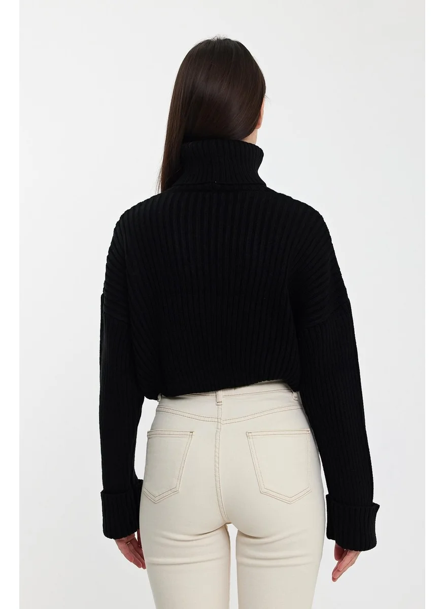 الكسندرجاردي Alexandergardı Sleeves Fold Turtleneck SWEATER (A92242-S)