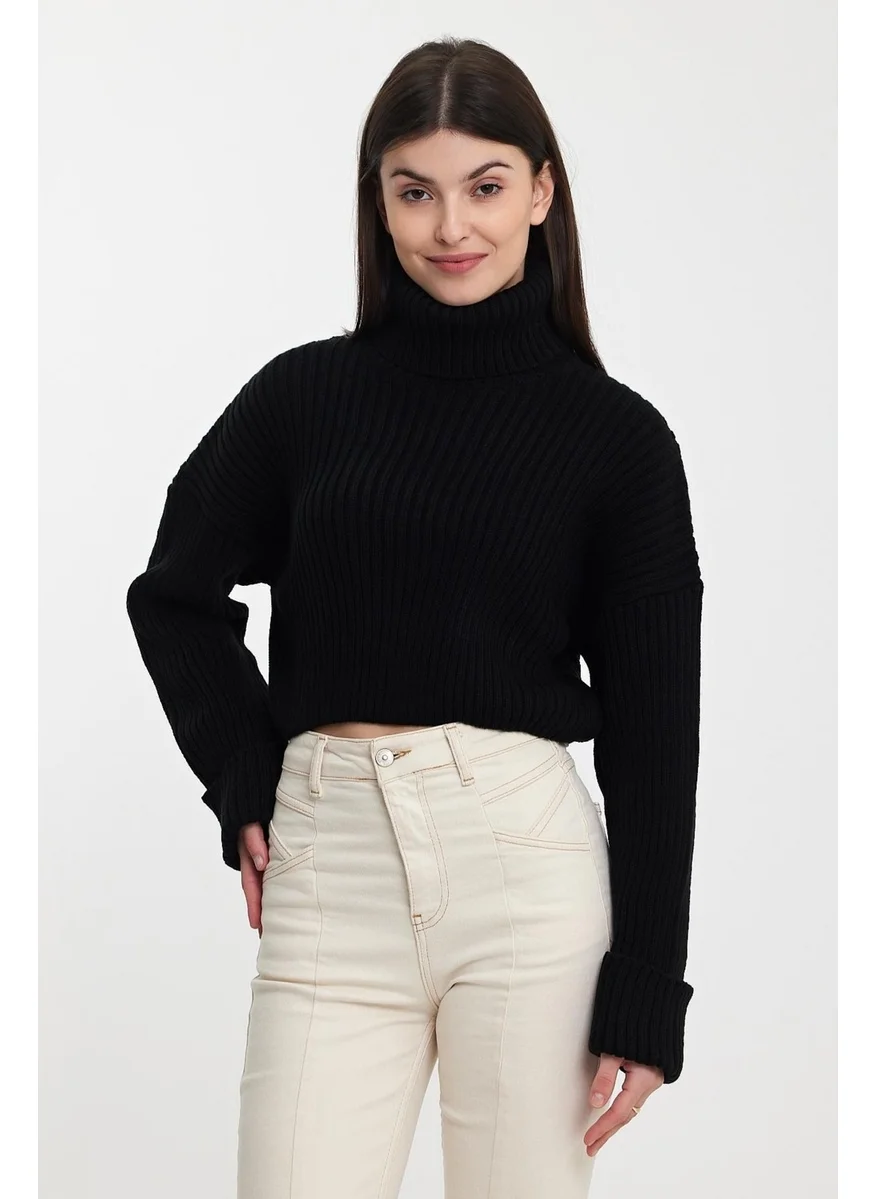 الكسندرجاردي Alexandergardı Sleeves Fold Turtleneck SWEATER (A92242-S)