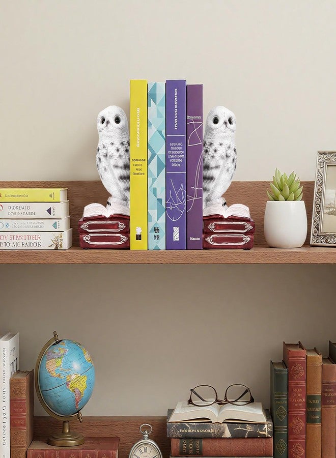KDSPAROS Owl Decorative Bookends, Vintage Resin Book Ends with Anti-Slip Base | Unique Collectible Owl Book Stoppers for Home Office, Library (White) - Image 3