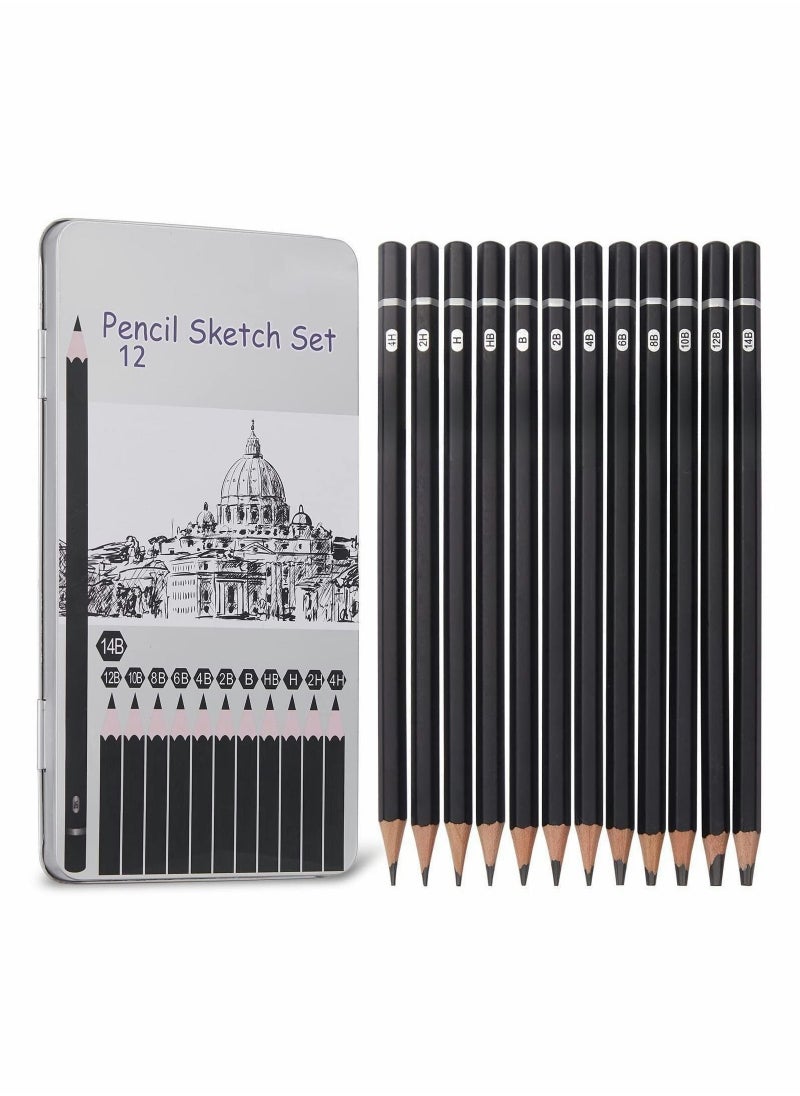 Y&D Professional Drawing Sketching Pencil Set - 12 Pack Art Sketch Pencils, Graphite Pencils(14B 4H), Ideal for Drawing, Pencils and Shading, Back to School Supplies  - Image 1