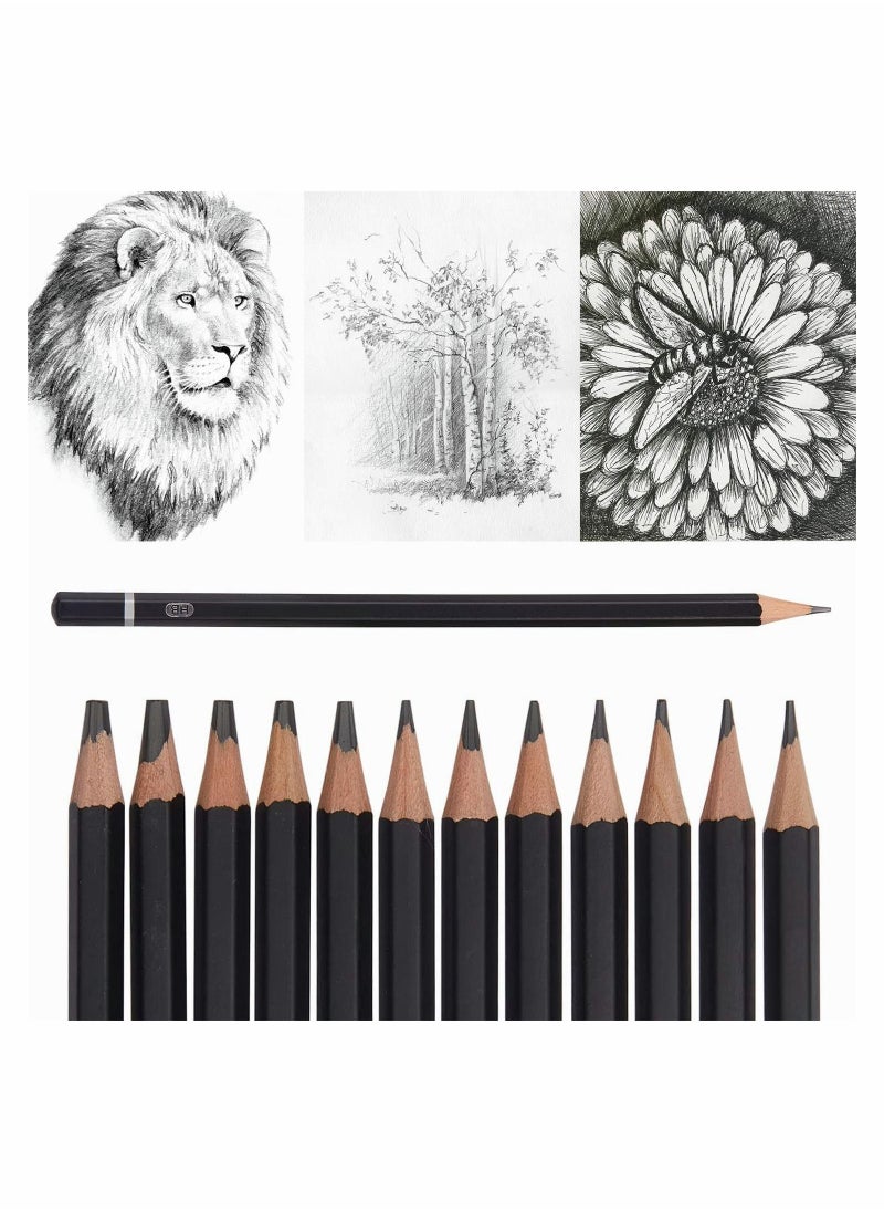 Y&D Professional Drawing Sketching Pencil Set - 12 Pack Art Sketch Pencils, Graphite Pencils(14B 4H), Ideal for Drawing, Pencils and Shading, Back to School Supplies  - Image 3
