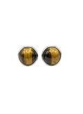 British Fossils Tiger Eye
