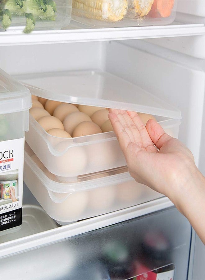 INKULTURE Plastic 24 Egg Storage Trays with Lid for Refrigerator , Clear - Image 3