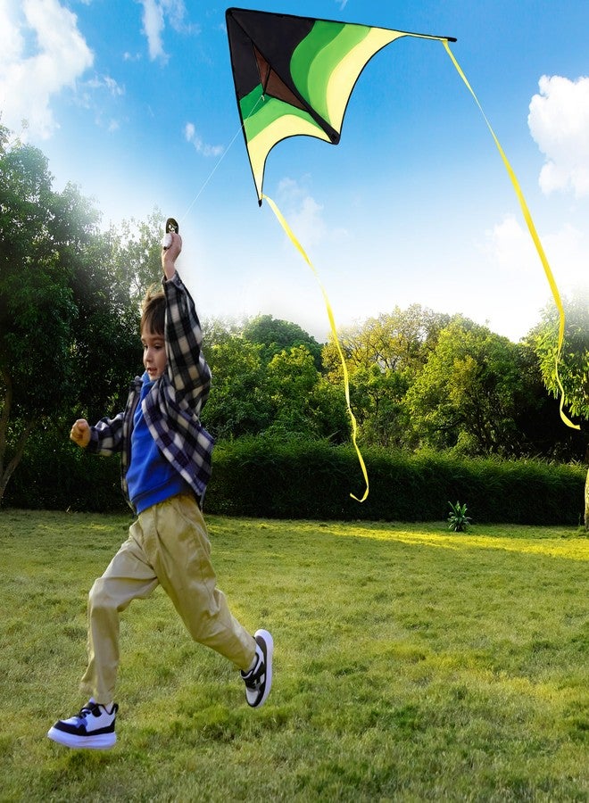 SYNCFUN Large Delta Kite Gradient Green- Easy to Fly for Kids and Adults, Beach Kite with 328 ft String for Outdoor Games and Activities - Image 5