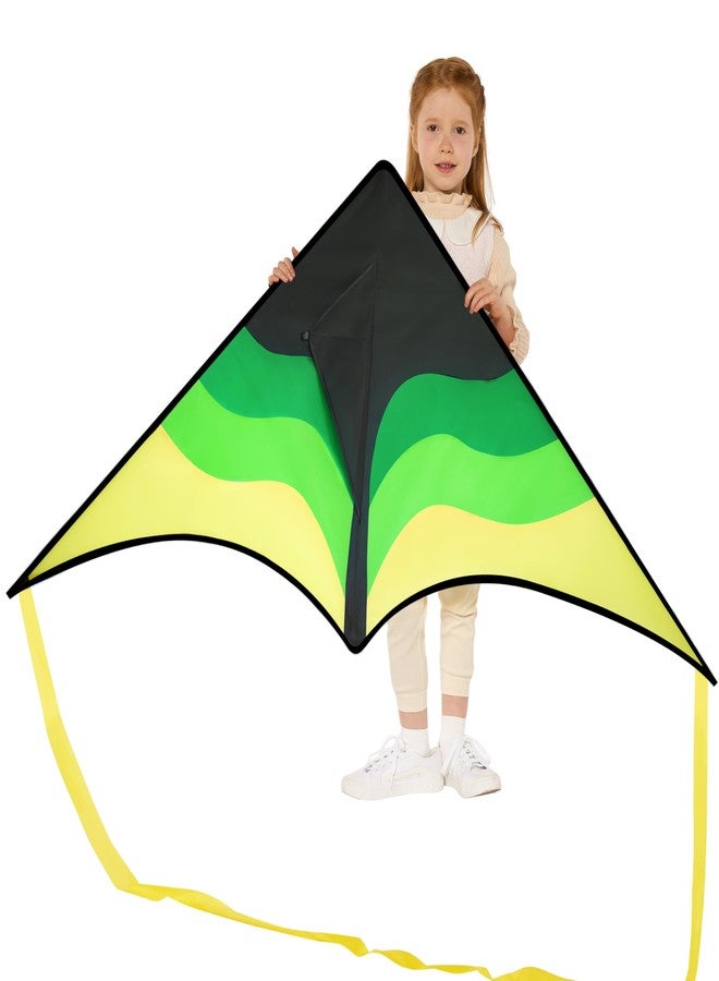 SYNCFUN Large Delta Kite Gradient Green- Easy to Fly for Kids and Adults, Beach Kite with 328 ft String for Outdoor Games and Activities - Image 1