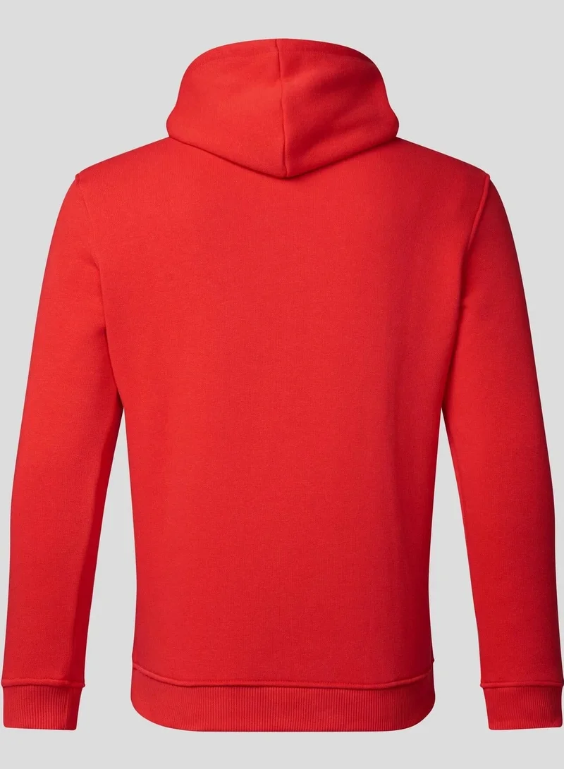 Red Bull Red Bull Racing Unisex Adult Hoodie