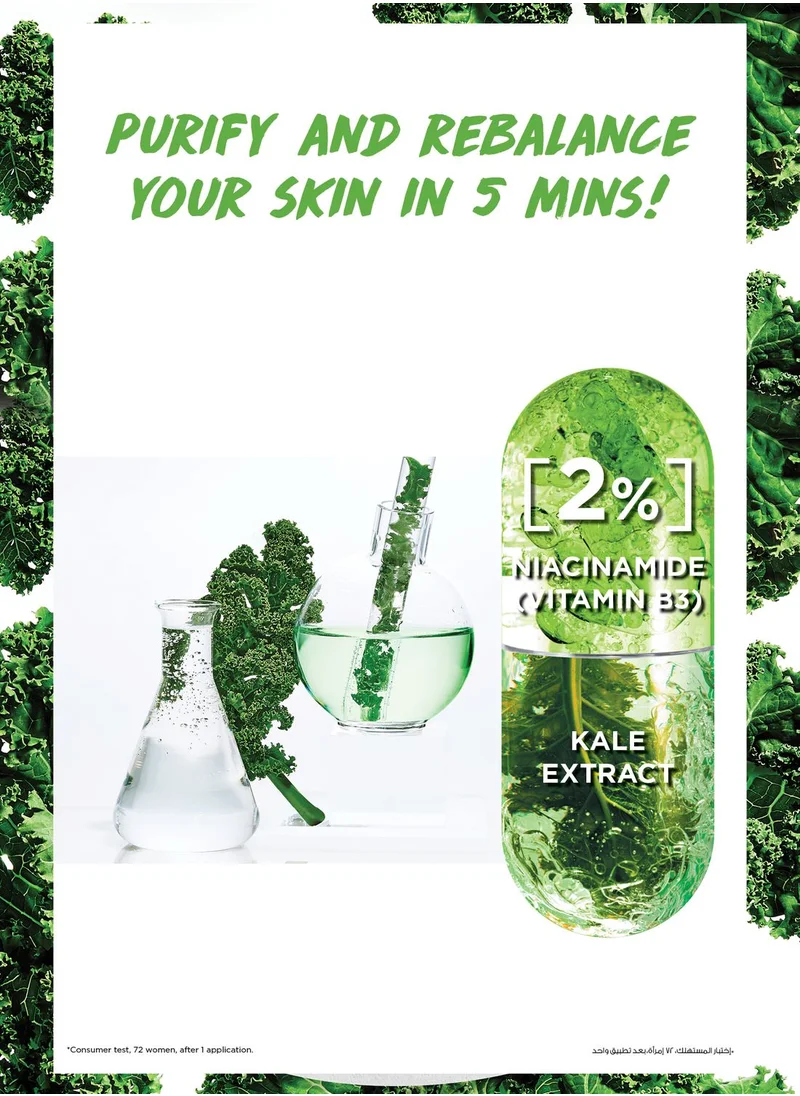 Garnier Kale Ampoule Tissue Mask