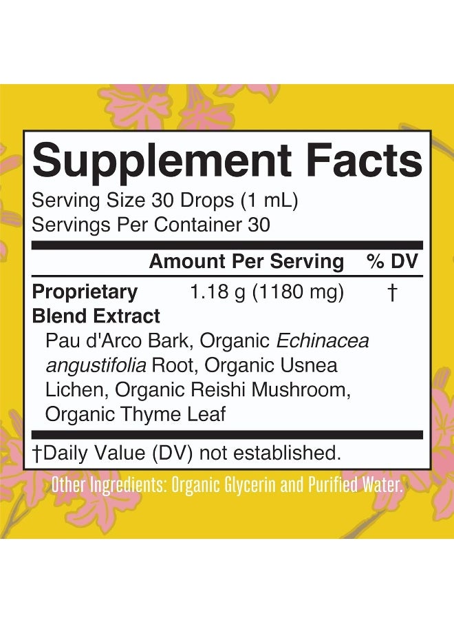 Pau D’Arco Blend With Reishi Mushroom, Echinacea, Usnea Lichen Pau D’Arco Supports Immune System, Suppresses Bad Bacteria And Gut Health - pzsku/Z01F69B34EA7AF57454C1Z/45/_/1726809055/a212e8f6-ccfe-4f2a-bd7d-900d233f0ff8