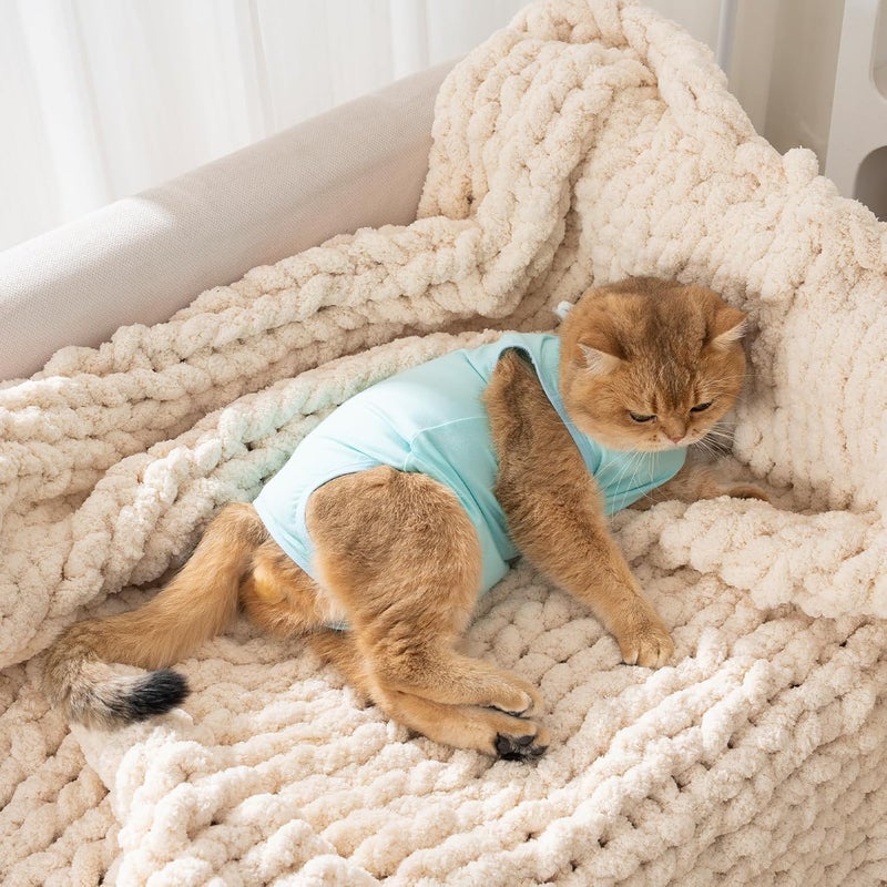 Avont Cat Recovery Suit for Surgery, Breathable Anti-Licking Onesie for Kittens, Post-Operative Protective Bodysuit, Comfortable Alternative to E-Collar -Mint (M) - Image 2