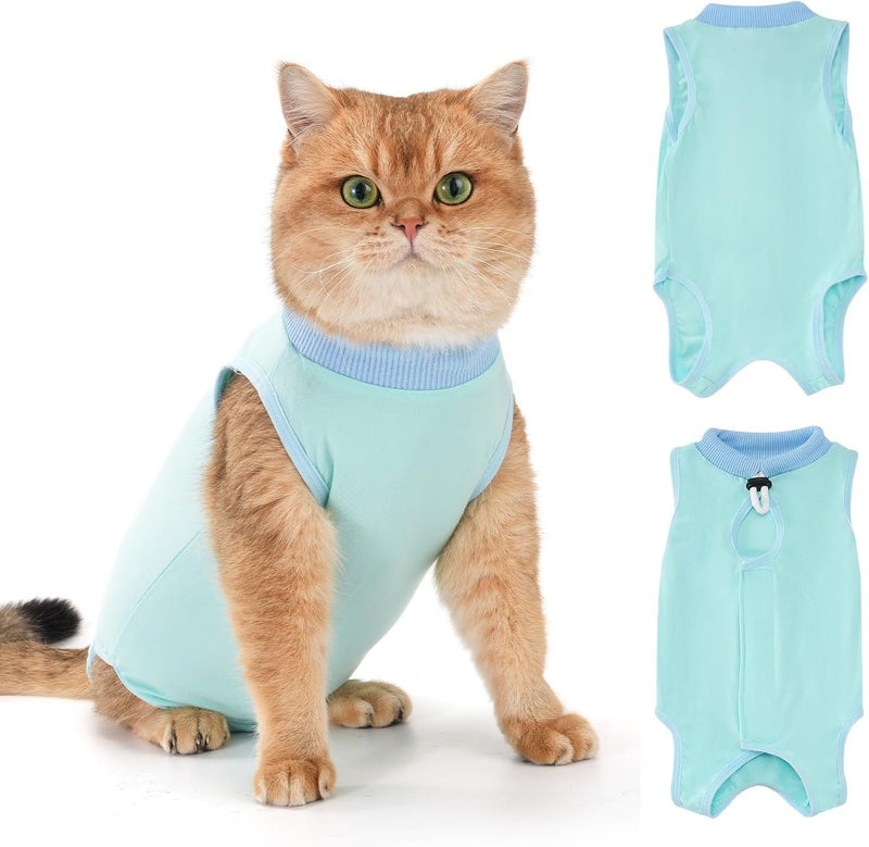 Avont Cat Recovery Suit for Surgery, Breathable Anti-Licking Onesie for Kittens, Post-Operative Protective Bodysuit, Comfortable Alternative to E-Collar -Mint (M) - Image 1