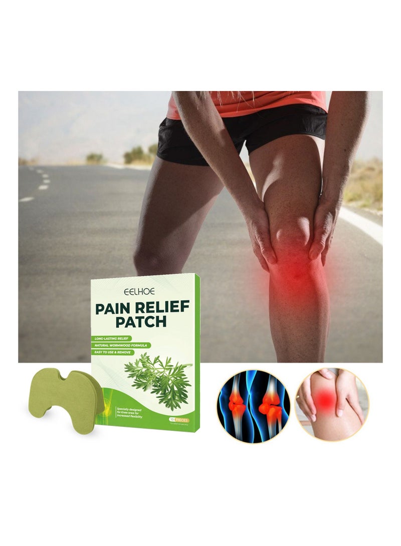 EELHOE Knee Plaster Pain Relief Patches 10 Pcs  - Image 1
