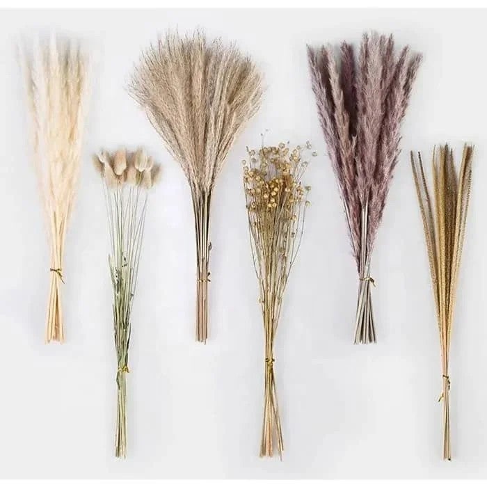 Bluejw Natural Dried Eucalyptus Pampas Grass Bouquet, White Decorative Dried Plants for Wedding Party Holiday Table Arrangements - Image 1