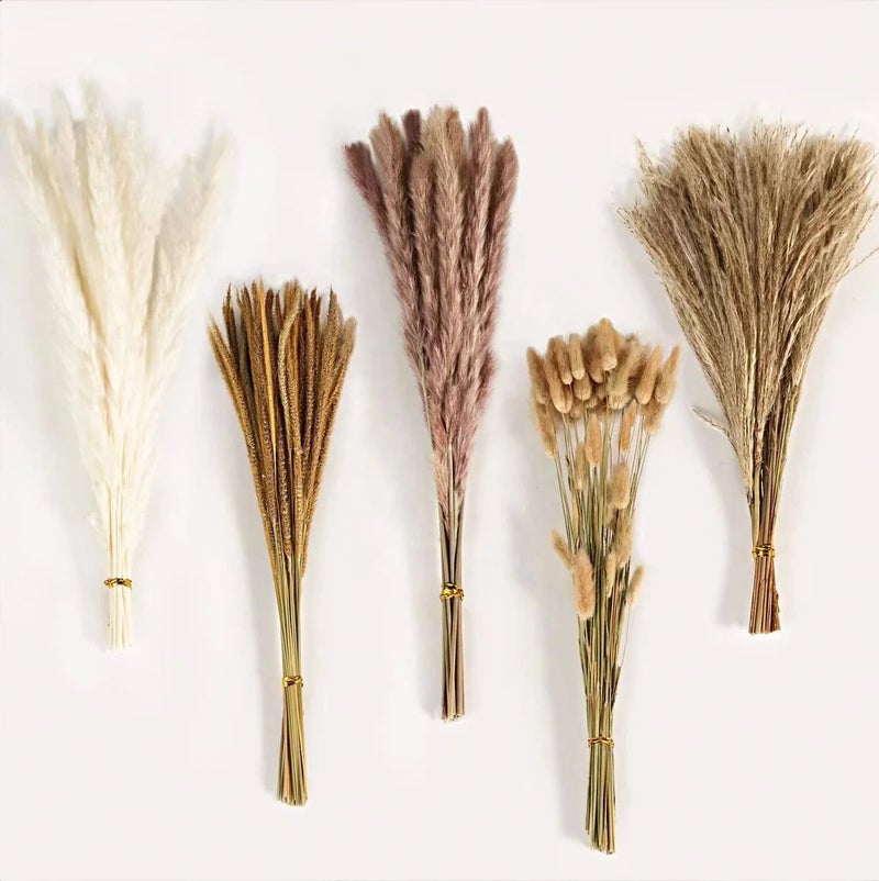 Bluejw Natural Dried Eucalyptus Pampas Grass Bouquet, White Decorative Dried Plants for Wedding Party Holiday Table Arrangements - Image 2