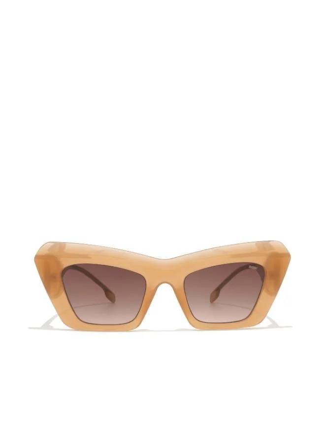 Blackout BlackOut DAISY