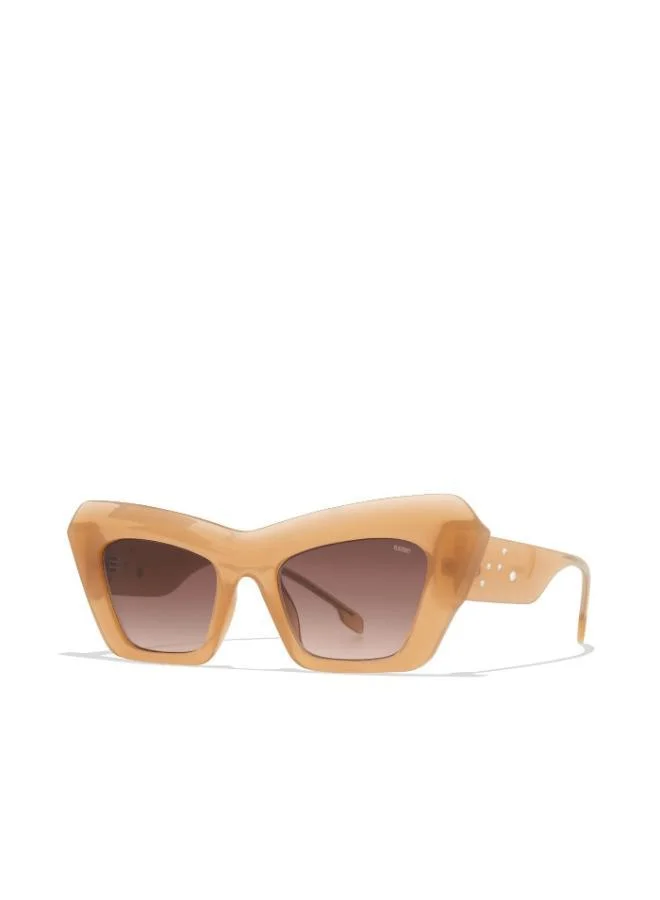 Blackout BlackOut DAISY